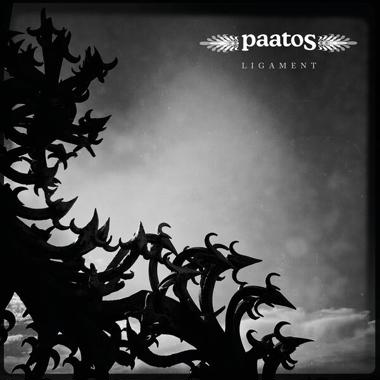 Paatos -  Ligament